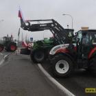zdjęcie nr 29
