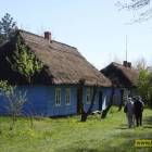 zdjęcie nr 19