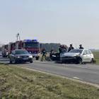 zdjęcie nr 11