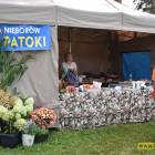 zdjęcie nr 12