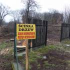 zdjęcie nr 7