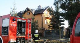 Fotka nr 5 z 11
