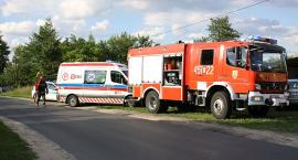 Fotka nr 1 z 5