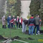 zdjęcie nr 39