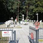 zdjęcie nr 35