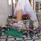 zdjęcie nr 7