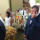 zdjęcie nr 14