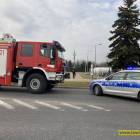 Fotka nr 5 z 9
