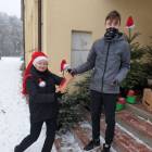 zdjęcie nr 9