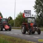 zdjęcie nr 20