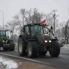 zdjęcie nr 10