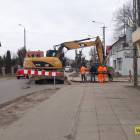 Fotka nr 5 z 6