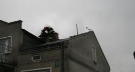 zdjęcie nr 8