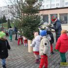 zdjęcie nr 44