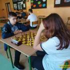 Fotka nr 4 z 473