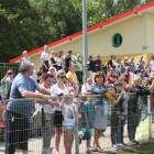 zdjęcie nr 71