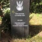 zdjęcie nr 51