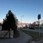 Fotka nr 5 z 6