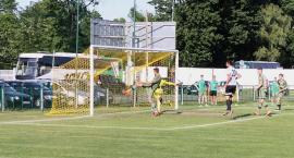 zdjęcie nr 12
