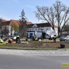 zdjęcie nr 9