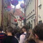 zdjęcie nr 8