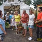 zdjęcie nr 49