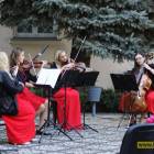 zdjęcie nr 35