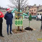 zdjęcie nr 16