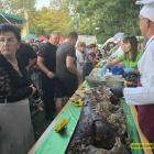 zdjęcie nr 241