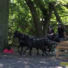 zdjęcie nr 25