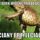 Fotka nr 2 z 4