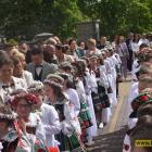 zdjęcie nr 100
