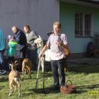 zdjęcie nr 41