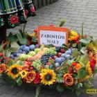 zdjęcie nr 39