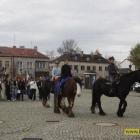 zdjęcie nr 58