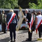 zdjęcie nr 147
