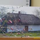 zdjęcie nr 10