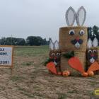 zdjęcie nr 26