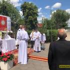 zdjęcie nr 14