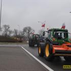 zdjęcie nr 16