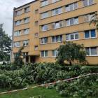 zdjęcie nr 16