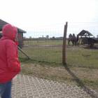 Fotka nr 5 z 8
