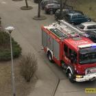 Fotka nr 2 z 3