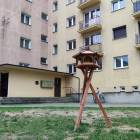 Fotka nr 5 z 7