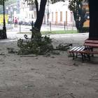 zdjęcie nr 23