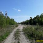 zdjęcie nr 41