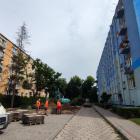zdjęcie nr 11