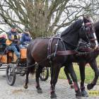 zdjęcie nr 84