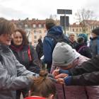 zdjęcie nr 50