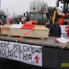 Fotka nr 5 z 68